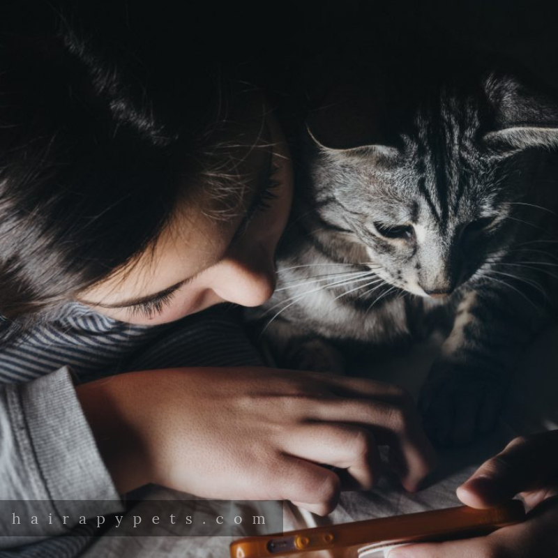 girl and cat looking at phone together