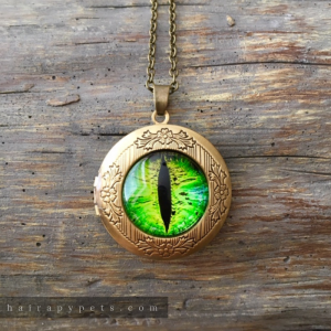 green cat eye locket necklace bronze