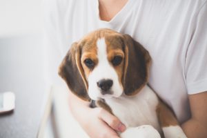 Guy Holds Dog