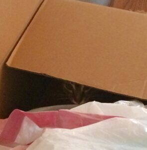cat hiding in cardboard box