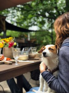 woman hugs senior dog